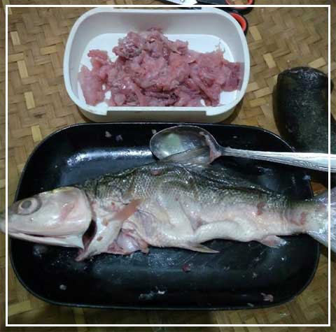 ikan bandeng