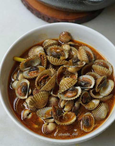Resep Kerang Dara Saus Padang Sajian Seafood yang Pedas dan Gurihnya Mantap 1 kerang dara saus padang