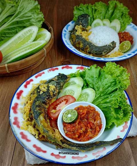 Resep Lele Goreng Kremes Sederhana Lengkap dengan Sambalnya 1 lele goreng kremes