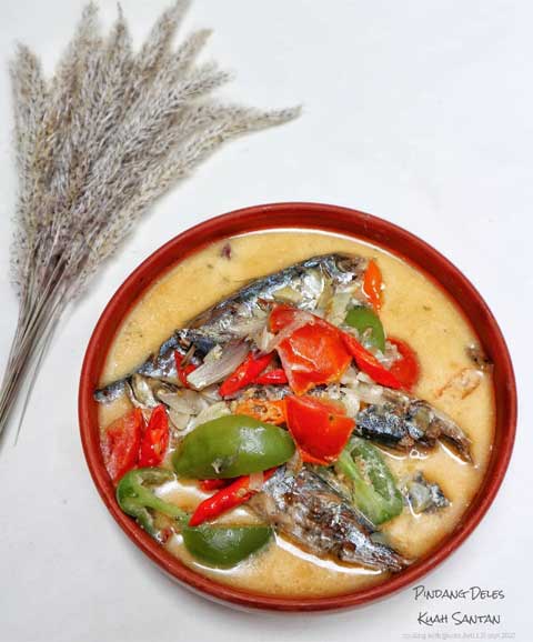 Resep Pindang Deles Kuah Santan, Lezat dan Menggugah Selera 1 pindang deles kuah santan