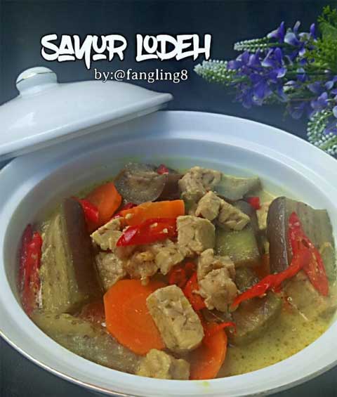 Resep Sayur Lodeh Terong Enak Gurih dan Lezat Serta Mudah Cara Membuatnya 1 ayur lodeh terong